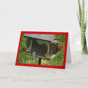 Carte Chargeur d'oiseaux occupé