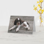 Carte Charlie Le Springer ! (Fleur jaune)