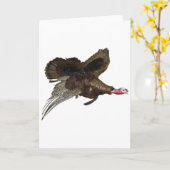 Carte Chasse à la Turquie sauvage (Fleur jaune)