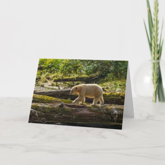 Carte Chasse de l'ours esprit blanc (Devant)