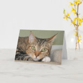 Carte Chat (Fleur jaune)
