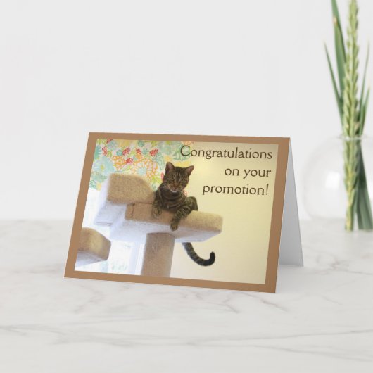 Carte Chat (Devant)