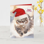 Carte Chat à Coon Maine De Noël En Neige (Fleur jaune)