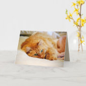 Carte Chat à coon orange doux au Maine (Fleur jaune)