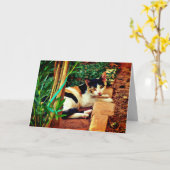 Carte Chat agréable (Fleur jaune)