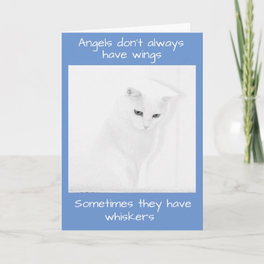 Carte Chat Ange Blanc Offre La Sympathie (Devant)
