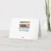 Carte Chat au gingembre Longhé (Dos)