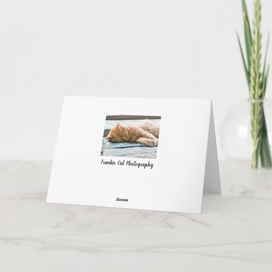 Carte Chat au gingembre Longhé (Dos)