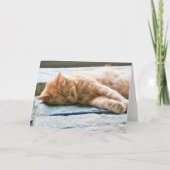 Carte Chat au gingembre Longhé (Devant)