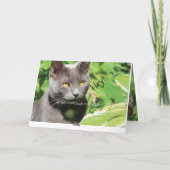 Carte Chat au soleil (Dos)
