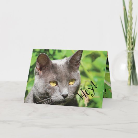 Carte Chat au soleil (Devant)
