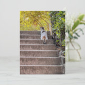 Carte Chat aux aguets (Debout devant)