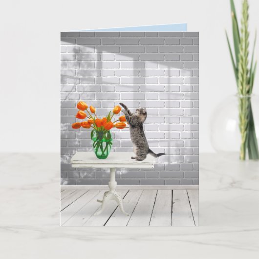 Carte Chat aux tulipes orange (Devant)