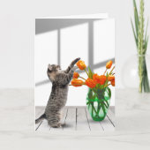 Carte Chat aux tulipes orange (Devant)