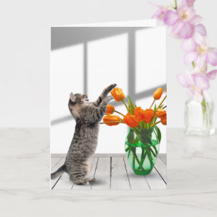 Carte Chat aux tulipes orange