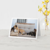 Carte Chat avec chien sur banc (Fleur jaune)