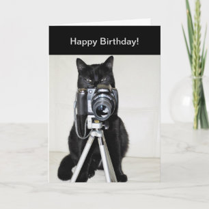 Carte Chat avec la caméra