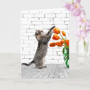 Carte Chat avec Tulipes Orange Anniversaire