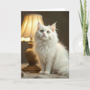 Carte Chat Blanc Anniversaire Assis Dans Un Lamplificate
