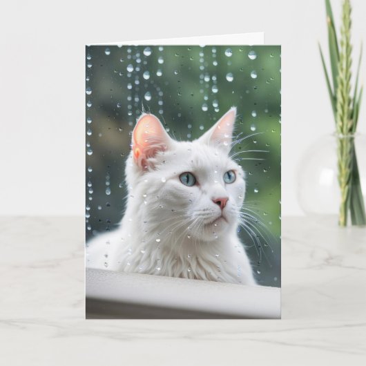 Carte Chat Blanc Anniversaire Dans La Fenêtre Pluie (Devant)