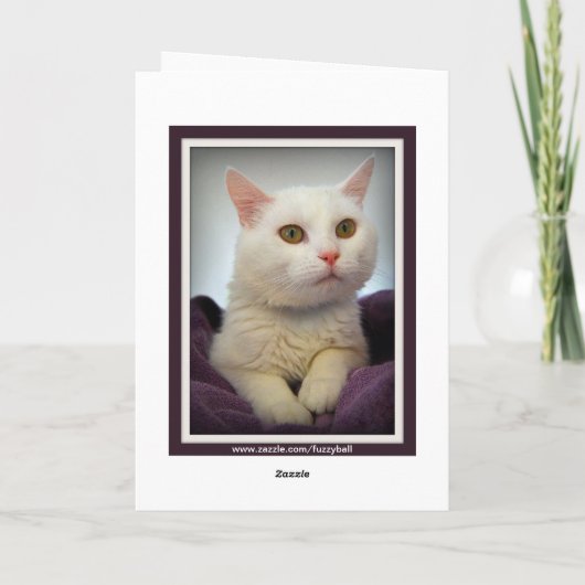 Carte Chat Blanc Ava Joyeuse Anniversaire (Dos)