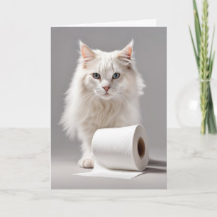 Carte Chat Blanc Avec Papier Toliet