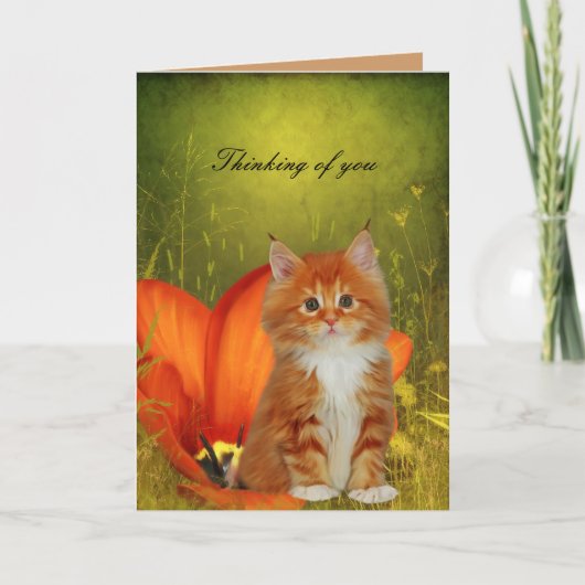 Carte Chat Blanc Chatons Fleurs "En pensant à vous (Devant)