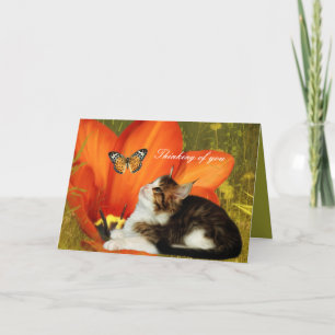 Carte Chat Blanc Chatons Fleurs "En pensant à vous