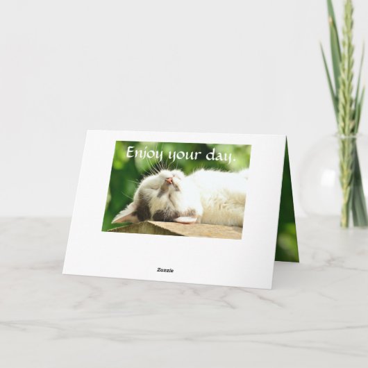 Carte Chat blanc couché Anniversaire (Dos)