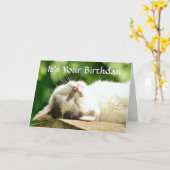 Carte Chat blanc couché Anniversaire (Fleur jaune)
