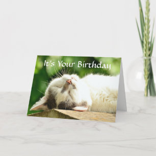 Carte Chat blanc couché Anniversaire