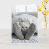 Carte Chat blanc d'anniversaire sous un édredon (Fleur jaune)