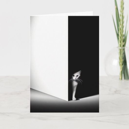 Carte Chat blanc dans des ombres noires (Devant)