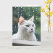 Carte Chat Blanc Dans La Fenêtre Pluie Se Bien Bientôt (Fleur jaune)