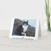 Carte Chat blanc noir de N, BIEN, BONJOUR LÀ, comment (Dos)