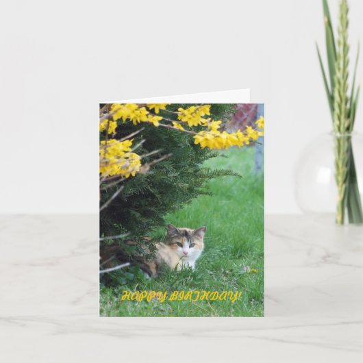 Carte Chat, bonbon un, anniversaire (Devant)