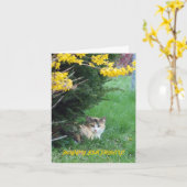 Carte Chat, bonbon un, anniversaire (Fleur jaune)
