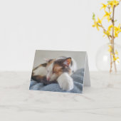 Carte Chat Calico (Fleur jaune)