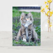 Carte Chat calico (Fleur jaune)