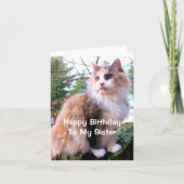 Carte Chat calico d'anniversaire de la sœur (Devant)