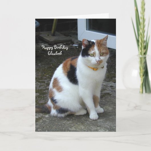 Carte Chat Calico personnalisé assis en dehors de l'Anni (Devant)