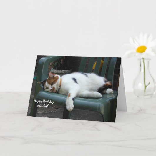 Carte Chat Calico personnalisé enroulé chaise Anniversai (Petite plante)