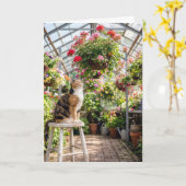 Carte Chat calicot d'anniversaire sur un tabouret de ser (Fleur jaune)