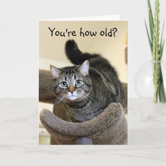 Carte Chat Chocs Voeux d'anniversaire (Devant)
