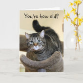 Carte Chat Chocs Voeux d'anniversaire (Fleur jaune)