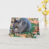 Carte Chat colorée (Fleur jaune)