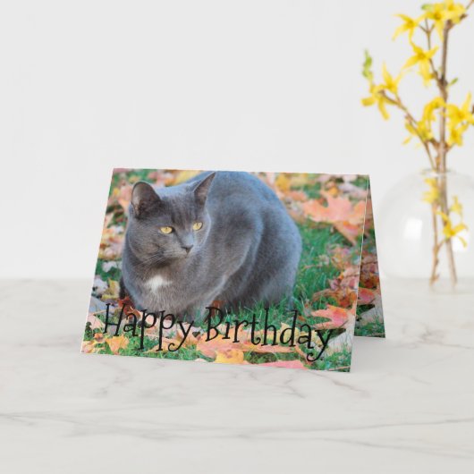 Carte Chat colorée (Fleur jaune)