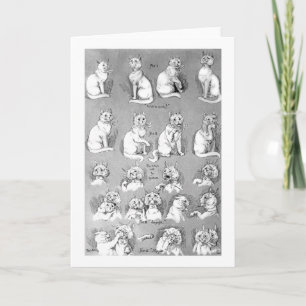 Carte Chat, Courtoisie & Mariage, Mariée, Louis Wain
