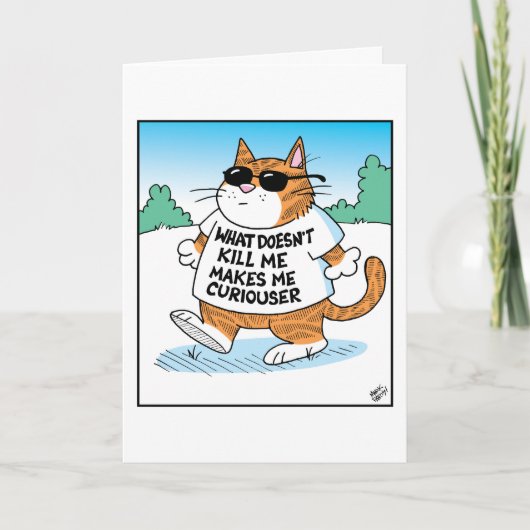 Carte Chat Curieux  (Devant)