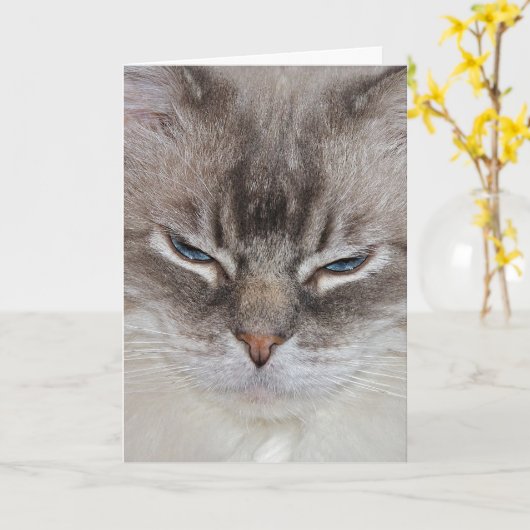 Carte Chat d'anniversaire (Fleur jaune)
